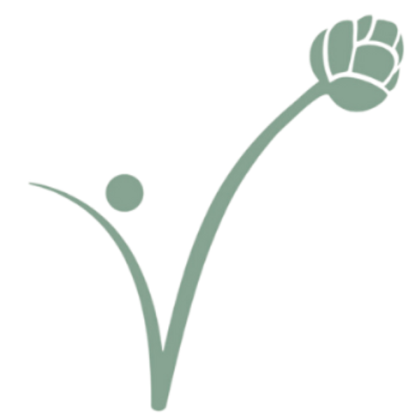 icono fondotransparente icono fondotransparente